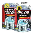 【2個セット】洗たく槽カビトルデス 酸素系液体タイプ 900g 全機種対応 5回分