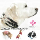 犬猫ケア用品 ペタプラス YORISOUカラー 犬用首輪 XS 8,800円〜L 9,900 (CP601) 4サイズ ペット 首輪