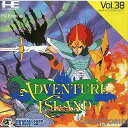 ADVENTURE ISLAND(アドベンチャーアイランド)(Huカード)(19910419)