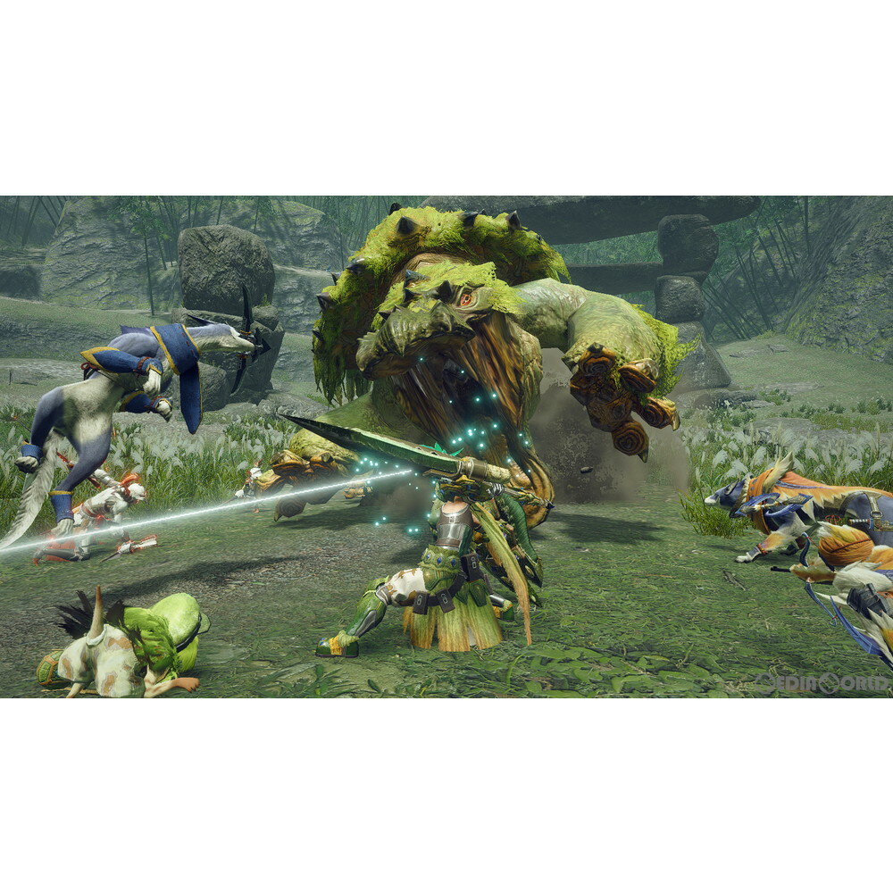 【中古】[Switch]モンスターハンターライズ(MONSTER HUNTER RISE) 通常版(20210326)