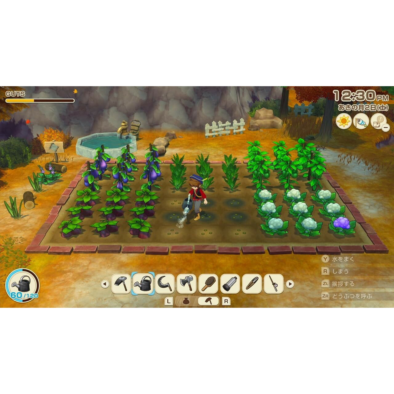 【予約前日発送】[Switch] 牧場物語 Let's!風のグランドバザール マーベラス(20250828)