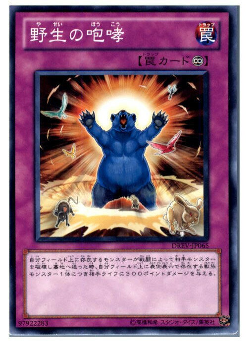 【中古】【プレイ用】[TCG]遊戯王 DRE