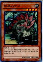 yÁz[TCG]VY DE01-JP014N ÍXeS