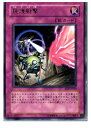 【中古】【プレイ用】[TCG]遊戯王 RDS