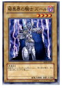 yÁzyvCpz[TCG]VY EE04-JP061N ÍE̋Rm Y[