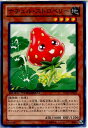 【中古】【プレイ用】[TCG]遊戯王 DTC