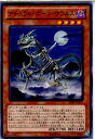 yÁzyvCpz[TCG]VY SHSP-JP037N i`E{[ETEX