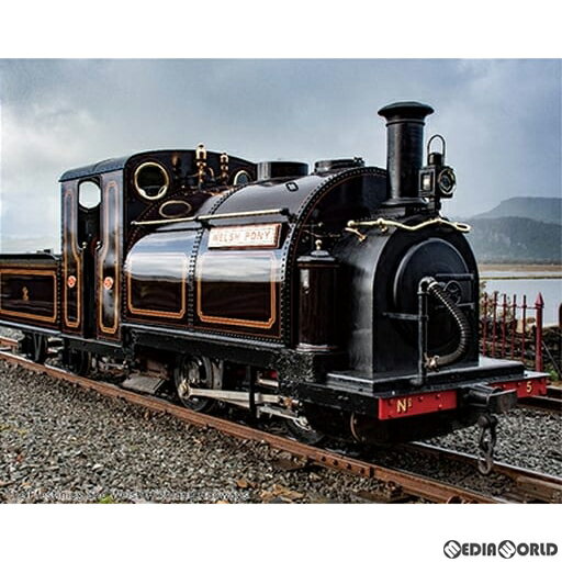 ڿʡۡڤ󤻡[RWM]51-251D Large England Welsh Pony(BROWN)(顼󥰥 륷塦ݥˡ ֥饦...