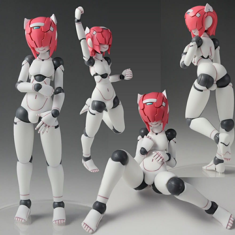 ポリニアン MMM シャムロック(F/G) ロボット新人類ポリニアン 完成品 可動フィギュア ダイバディプロダクション(20150911)