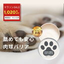 動物の皮膚の健康を維持　マイクロシンAH　Wスキンケア 60ml　【犬/猫/アレルギー/かゆみ/アトピー】