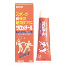 サロメチール40g【第3類医薬品】【RCP】