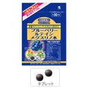 小林製薬の栄養補助食品ブルーベリー ルテイン メグスリノ木 60粒【約30日分】栄養補助食品【メール便発送可！メール便(補償なし：180円/1個；複数個ご購入の場合は重量に応じた送料となります)をご希望の場合は備考欄に“メール便希望”とご記入ください！】