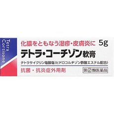 テトラコーチゾン軟膏 5g【第 2 類医薬品】【メール便発送可 メール便 補償なし：180円 をご希望の場合は備考欄に“メール便希望”とご記入ください 】【RCP】