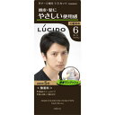 【マンダム】ルシード ワンプッシュケアカラー 6 ダークブラウン 1剤50g・2剤50g ※お取り寄せ商品