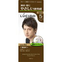 【マンダム】ルシード ワンプッシュケアカラー 5 ナチュラルブラウン 1剤50g・2剤50g ※お取り寄せ商品