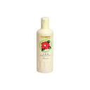【6/9(金)までクーポン配布】【大島椿】大島椿 オイルシャンプー 400ml ※お取り寄せ商品【RCP】