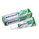 【アース製薬】新ポリグリップ　極細ノズル　40g　（管理医療機器）※お取り寄せ商品 【RCP】