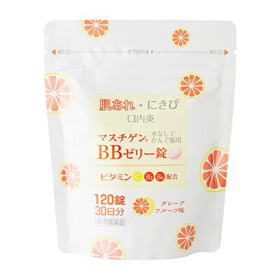 【第3類医薬品】【日本臓器製薬】マスチゲン BBゼリー錠 120錠入 チャック付アルミパウチ包装容器