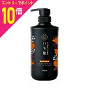 【ポイント10倍:10月まるまるお得 ※要エントリー】【クラシエホームプロダクツ】いち髪 濃密W保湿ケア コンディショナー ポンプ 480g ※お取り寄せ商品