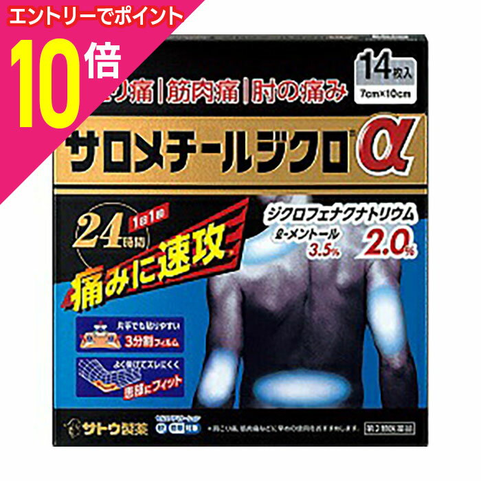 【ポイント10倍：年内まるまるお得 ※要エントリー】【第2類医薬品】【佐藤製薬】サロメチールジクロa 1..