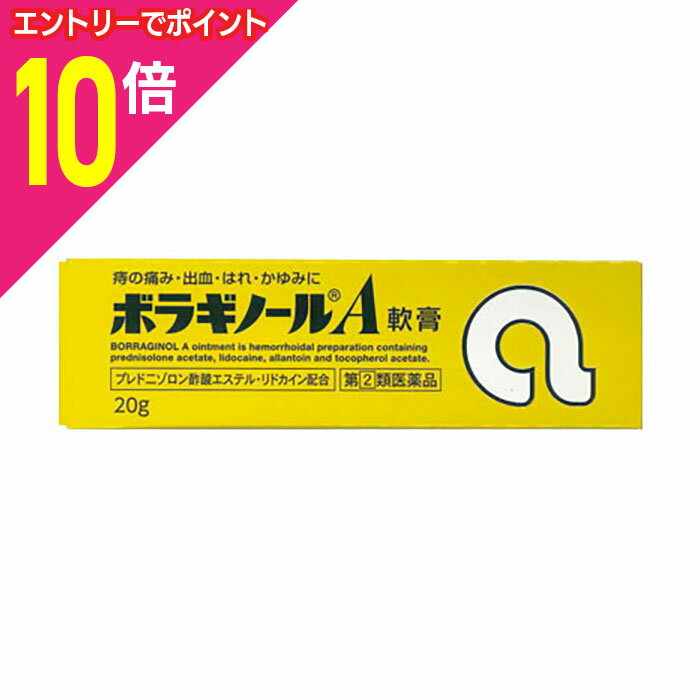 【ポイント10倍：11月まるまるお得 ※要エントリー】【第(2)類医薬品】【天藤製薬】ボラギノールA軟膏20g