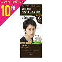 【ポイント10倍:お買い物マラソンと同時開催 ※要エントリー】【マンダム】ルシード ワンプッシュケアカラー 6 ダークブラウン 1剤50g・2剤50g ※お取り寄せ商品
