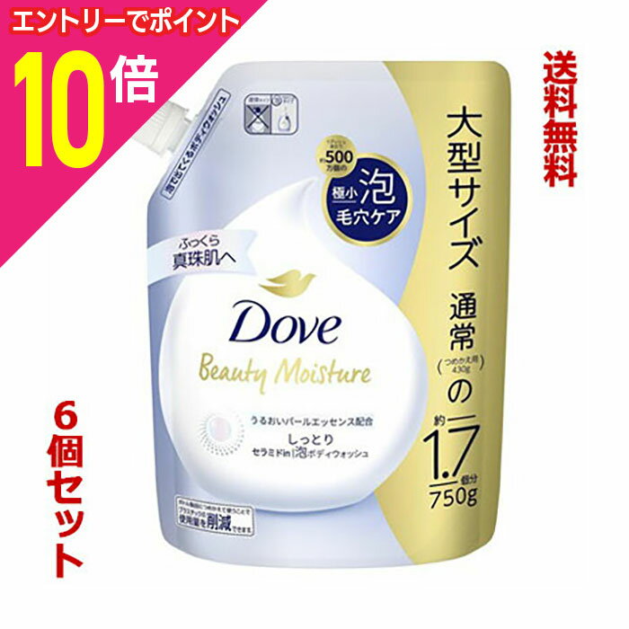【ポイント10倍：11月まるまるお得 ※要エントリー】【送料無料の6個セット】【ユニリーバ】ダヴ ビューティーモイスチャー 泡ボディウォッシュ しっとり つめかえ用 750g ※お取り寄せ商品