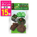 【ポイント合計15倍:お買い物マラソンと同時開催 ※要エントリー】【マルカン ニッソー】育てる水草の種 ストレートヘアー&ロック ☆ペット用品 ※お取り寄せ商品