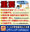 【第1類医薬品】【定形外郵便☆送料無料】【興和新薬】リザレックコーワ 60mL 無香料 ミノキシジル5％配合 発毛剤・育毛剤および脱毛（抜け毛）の進行予防 【RCP】 3