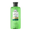 なんと!あの【P&G】ハーバルエッセンス ビオリニュー アロエ&ユーカリ シャンプー(ノンシリコン) 400mL が、「この価格!?」 しかも毎日ポイント2倍! ※お取り寄せ商品【RCP】