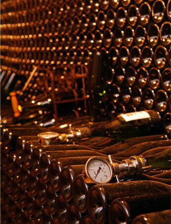 [NV] ホルダン・デ・アソ　ブリュット・ナチューレ　Jordán de Asso Brut Nature