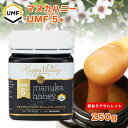 【訳あり】OUTLET特売セール 【キャップのリング外れ】★プレミアム マヌカハニー UMF 5+ 250g ニュージーランド産 蜂蜜 UMF協会認定 分析証明...