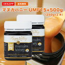 限定セット販売30%OFF プレミアム ...