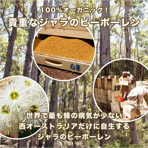 初入荷で150本完売の人気フード!ジャラのスーパーフード★ビーポーレン(120g)BEEPOLLEN100%オーガニック!ジャラの希少なビーポーレン