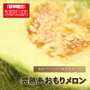 メロン 送料無料 『 ★完熟収穫★大玉あおもりメロン 』 めろん 送料込み