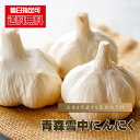 にんにく 青森県産 『 【送料無料】青森雪中にんにく(Lサイズ)/1kg前後 』 ニンニク 国産 福地ホワイト6片種