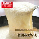 長芋 とろろ 『 【送料無料】 北国ながいも/10kg前後(18〜22パック) 』 長いも 送料込み