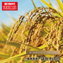 令和6年産 新米 青森県 送料無料 『 はれわたり/5kg袋 』 ハレワタリ 晴れわたり 精米 白米