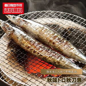 さんま 生 『 【送料無料】秋味トロ秋刀魚/10尾入り 』 秋刀魚 サンマ 刺身用 秋季限定