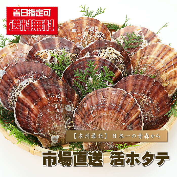 ほたて 刺身用 『  市場直送”活”ホタテ/3kg（15枚前後） 』 帆立