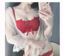【P2倍&クーポン有】レース ブラジャー ショーツ 下着 上下セット レディース インナー パッド付き 快適 フィット感 大人カラー 落ち着いた色 カラバリあり ブラック 黒 グレー 灰色 赤 レッド パープル 紫 リボン 柄あり コンサート 普段使い 楽ちん お嬢様 姫系