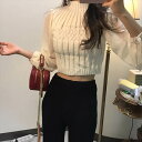 【P2倍&クーポン有】トップス ブラウス ニット 個性的 春 ミニ ショート丈 トップス 長袖 二の腕カバー ぽわん袖 シアー袖 クルーネック 丸首 Uネック セミタイト 切り替えデザイン 肌みせ オーガンジー ふわふわ 透け感 シースルー シアー ブラック 黒 ホ