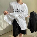 【P2倍&クーポン有】切り替えデザイン 半袖 Tシャツ トップス レディース 個性的 春 夏 裾ワイド 二の腕カバー Uネック ラウンドネック 襟なし 細身 ストレート 前開き カラバリあり ブラック ホワイト 柄あり 英字ロゴ ゆったり フリーサイズ 薄手 学校 バイト モテ