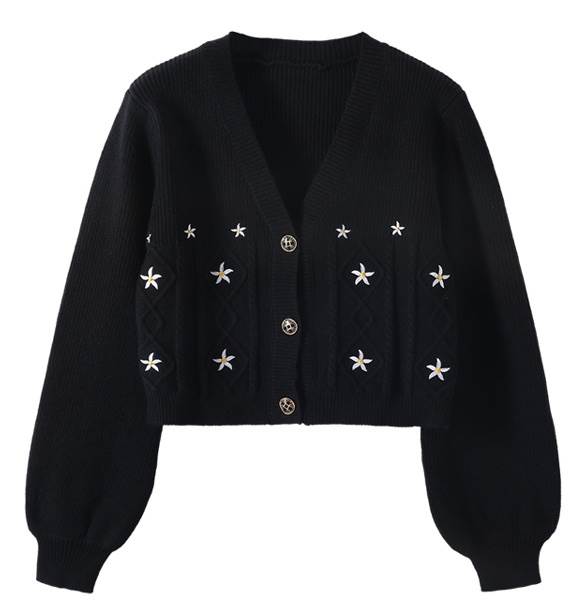 【P2倍&クーポン有】トップス レディース ニット カーディガン 個性的 春 秋 冬 ショート丈 裾短め 長袖 パフスリーブ Vネック 羽織り 前開き 刺繍 ケーブルニット くるみボタン ブラック 黒 ブルー 青 花柄 フラワー フリーサイズ リブ 大学 旅行 コンサート ライブ