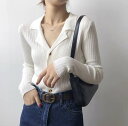 【P2倍&クーポン有】ニット セーター トップス レディース 春 秋 普通丈トップス 長袖 Vネック 襟付き スリム タイト 細身 伸縮性 ボタン カラバリあり ブラック 黒 ホワイト 白 ベージュ ネイビー 藍色 ブラウン 茶色 マスタード くすみカラー 秋カラー フリーサイズ