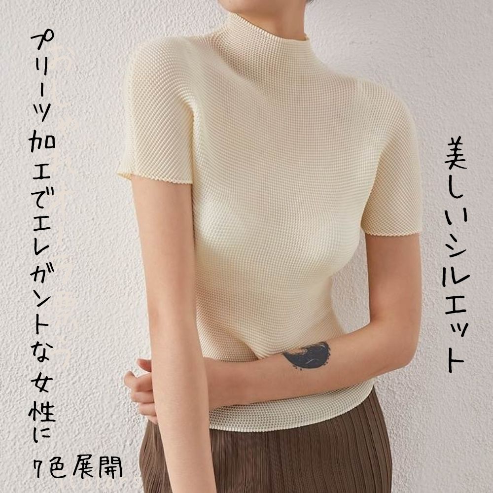 【P2倍&クーポン有】トップス レディース カットソー 送料無料 個性的 春コーデ 夏コーデ 普通丈 半袖 二の腕カバー ハイネック スタンドカラー タイト スリム フィット プリーツ ブラック 黒 オフホワイト ピンク イエロー グリーン グレー 無地 フリーサイズ しわ感