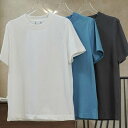【P2倍&クーポン有】Tシャツ オールシーズン 半袖 クルーネック 丸首 カラバリあり グレー ホワイト 白 ブルー 無地 フリーサイズ 体型カバー 流行 トレンド 普段使い 日常使い 楽ちん プチプラ 美脚 脚長 華奢見え 細見え 着痩せ 効果 定番