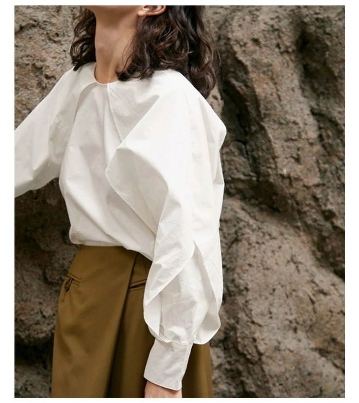 【P2倍&クーポン有】トップス シャツ ブラウス 春 秋 冬 長袖 クルーネック 丸首 ホワイト グリーン 無地 フリーサイズ 学校 バイト イベント リゾート 旅行 ホテル ガーデン コンサート ライブ 外出 体型カバー 流行 トレンド 普段使い 日常使い 楽ちん 着痩せ