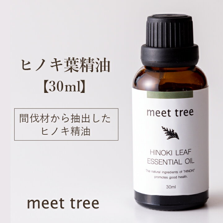 meettreeեå󥷥륪