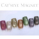 【Cat's eye Magnet】【2.5g コンテナ】セルフネイル 大粒マグネットカラーコンテナタイプ ジェルネイル 個性的 韓国風 オシャレ ニュアンスネ...